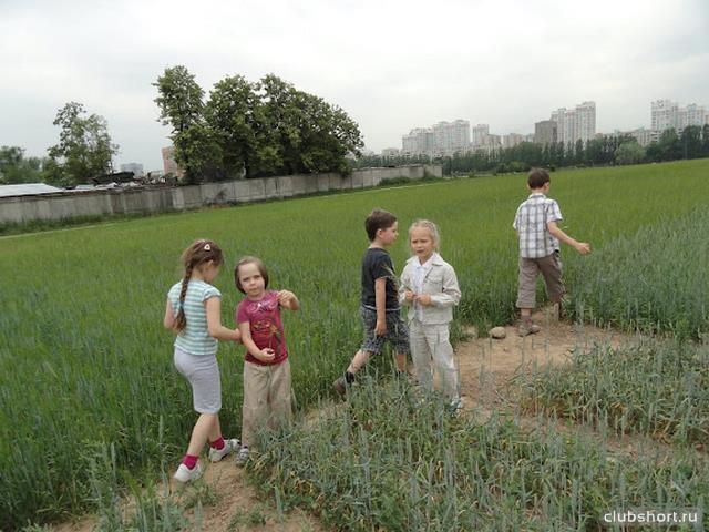 4828_kids_in_shorts_ru_228.jpg